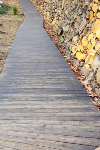 Giardino a piedi modo con pietra nella natura — Foto Stock