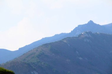 Dağ ve orman manzara doğa ile