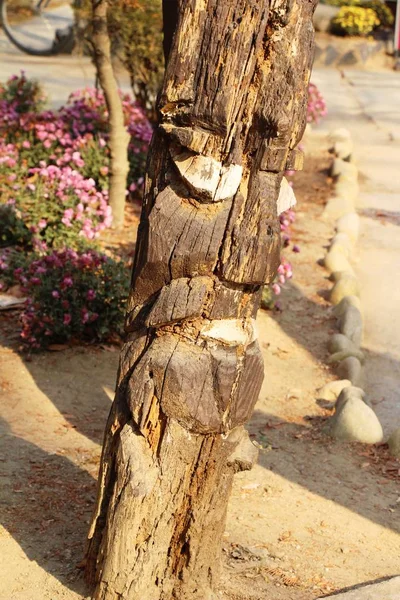 Madeira esculpida na decoração do jardim com a natureza — Fotografia de Stock