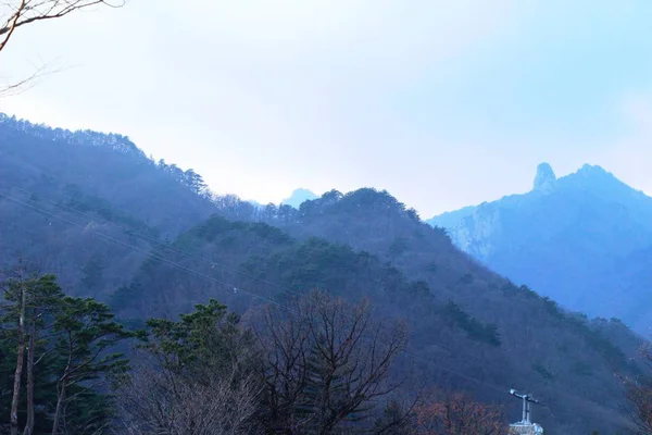 自然と山と森の風景 — ストック写真