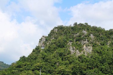 Dağ ve orman manzara doğa ile