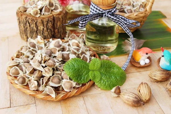 Arka plan ağaç Moringa oleifera petrol ve tohumlar üzerinde