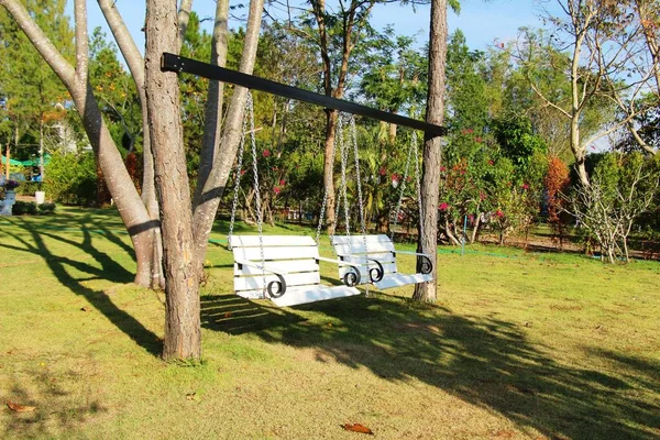 Balançoire blanche suspendue à l'arbre avec la nature — Photo