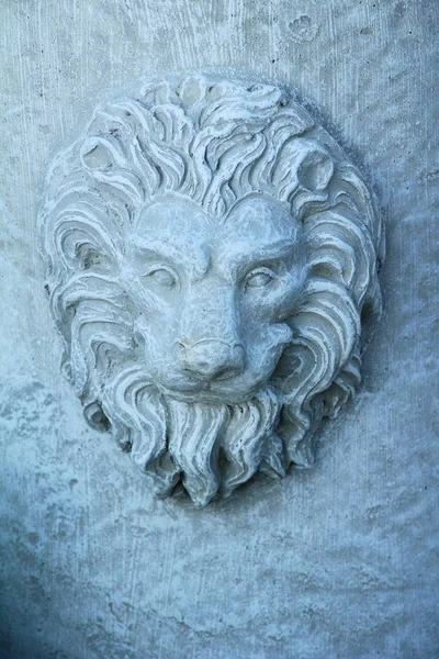 Statue de lion décorative est la beauté dans le jardin — Photo