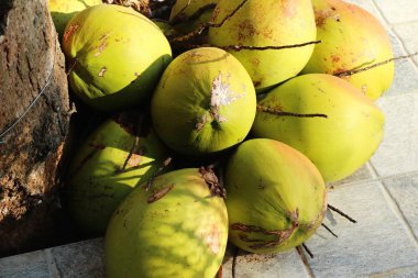 Hindistan cevizi meyve sokak gıda lezzetlidir