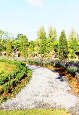 Doğada taşlı Bahçe yürüme yolu