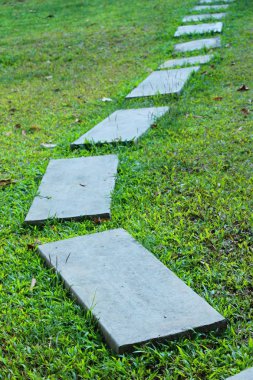 Doğada taşlı Bahçe yürüme yolu