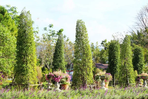 Voorjaar weergave is mooi in de tuin van Engeland — Stockfoto