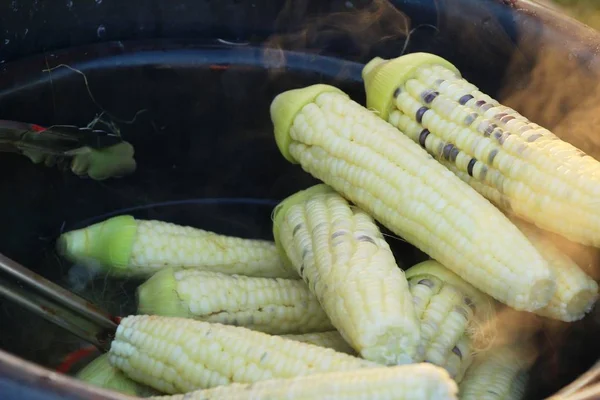 El forúnculo de maíz es delicioso en la comida callejera —  Fotos de Stock