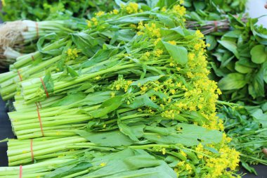 Belgili tanımlık çarşı içinde yemek pişirmek için taze choy