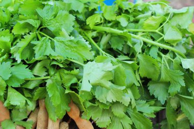 Belgili tanımlık çarşı içinde yemek pişirmek için kereviz sebze