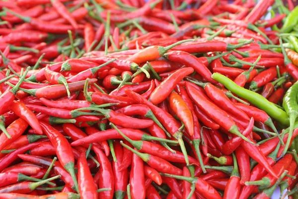 Fresh chilli for cooking in the market — Stock Photo, Image