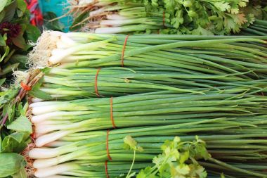 İçinde belgili tanımlık çarşı taze soğan