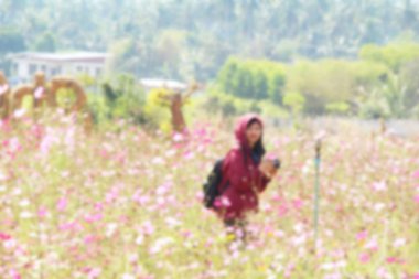 Bahçe cosmos renkli çiçeklerle bulanık kadın