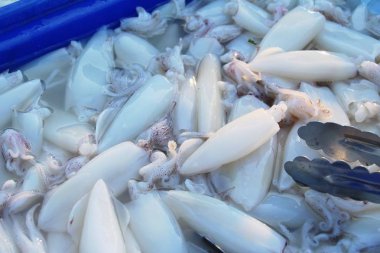 belgili tanımlık çarşı içinde yemek pişirmek için taze kalamar