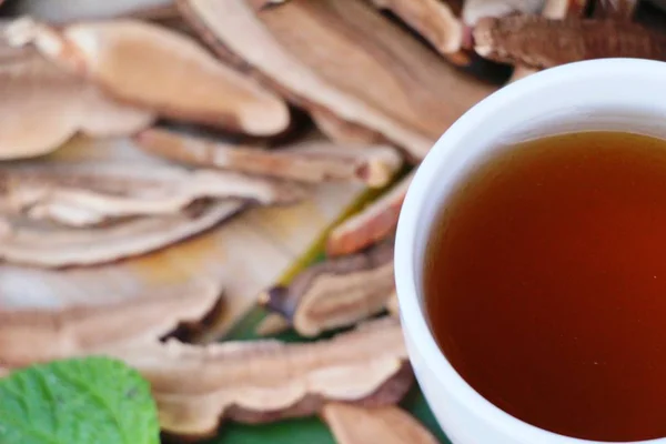 Lingzhi thé aux champignons - Ganoderma lucidum pour la santé — Photo