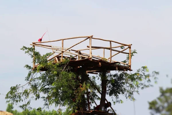 Klein houten huis met boom in de natuur — Stockfoto