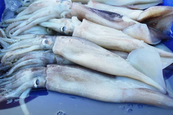 市场的烹饪鲜鱿 — 图库照片