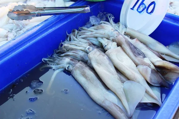 Verse inktvis voor het koken op de markt — Stockfoto