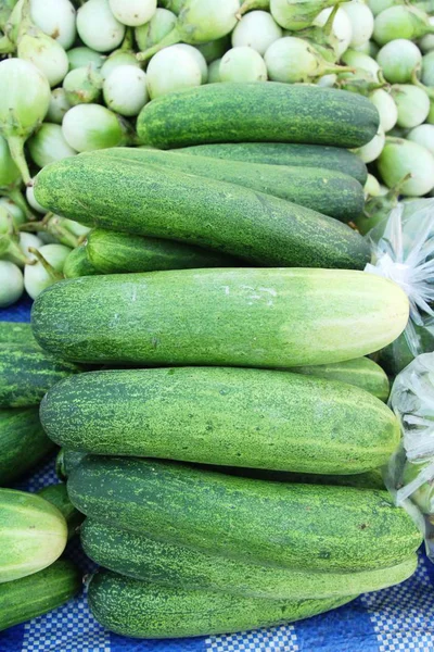 Cetrioli freschi per cucinare sul mercato — Foto Stock