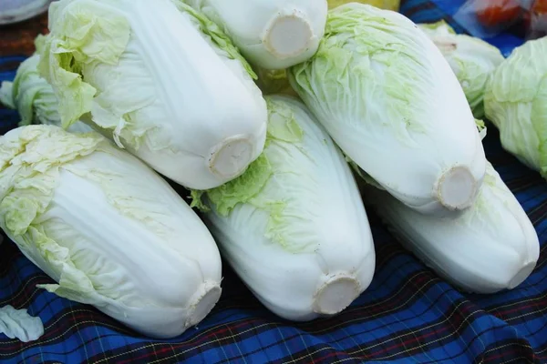 Cavolo cinese fresco per cucinare nel mercato — Foto Stock