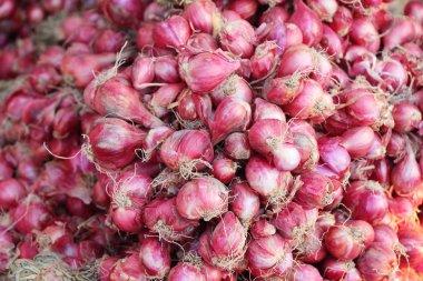 soğancık - Asya kırmızı soğan yemek
