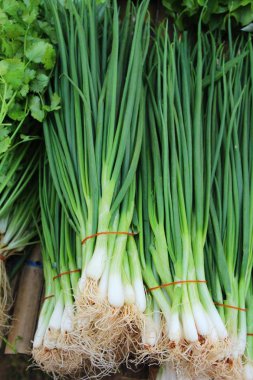 İçinde belgili tanımlık çarşı taze soğan