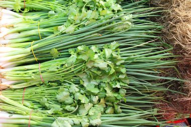 Taze soğan ve kişniş içinde belgili tanımlık çarşı