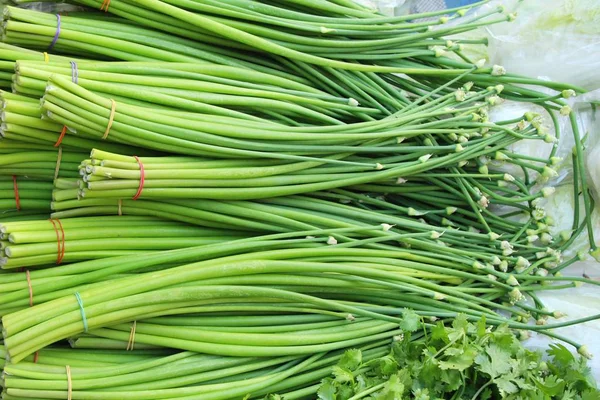 Tallo de flor de cebolla para cocinar en el mercado — Foto de Stock