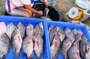Belgili tanımlık çarşı içinde yemek pişirmek için taze balık