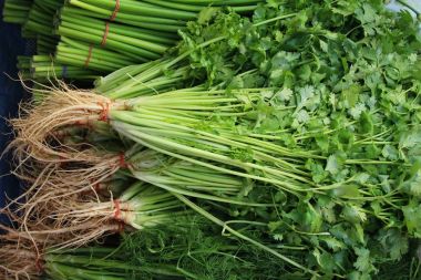 Belgili tanımlık çarşı içinde yemek pişirmek için taze kişniş