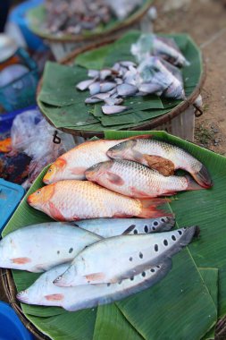 Belgili tanımlık çarşı içinde yemek pişirmek için taze balık