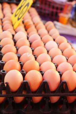Piyasada panelinde yumurta