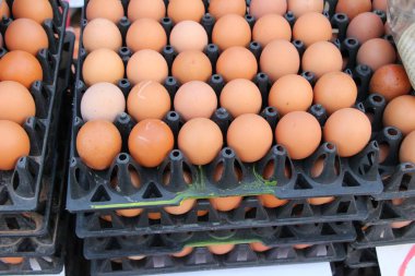 Piyasada panelinde yumurta