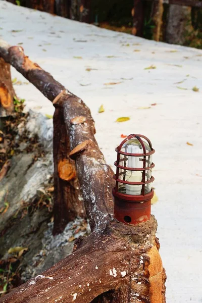 Lâmpada no jardim em estilo vintage — Fotografia de Stock