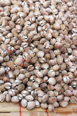 belgili tanımlık çarşı içinde yemek pişirmek için taze cockle