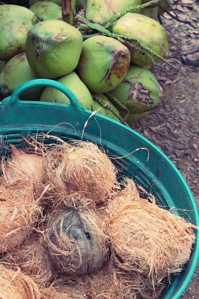 Kokosfrüchte sind köstlich beim Streetfood — Stockfoto