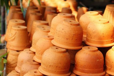 Pot ağaç dükkanında Satılık