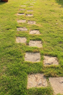 Doğada taşlı Bahçe yürüme yolu