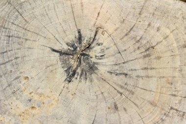 Eski ahşap güzellik duvar arka plan ve doku