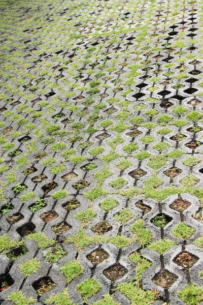 Garden walk way with stone in nature — Stock Photo, Image