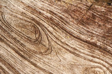 Eski ahşap güzellik duvar arka plan ve doku