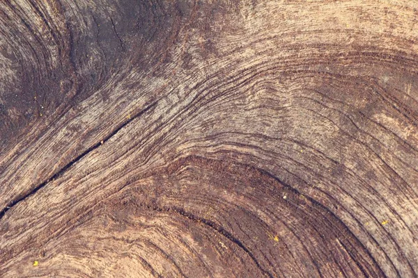 Vieux mur de beauté en bois fond et texture — Photo