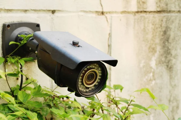 Telecamera a circuito chiuso (CCTV) in giardino con la natura — Foto Stock