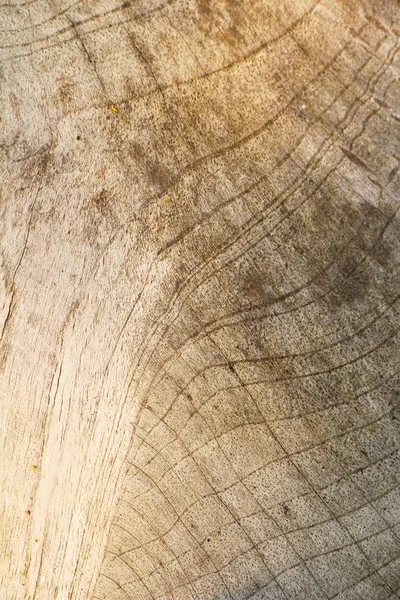 Antiguo fondo de pared de belleza de madera y textura —  Fotos de Stock