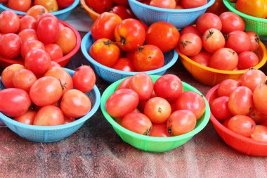 Sokak gıda yemek için taze domates