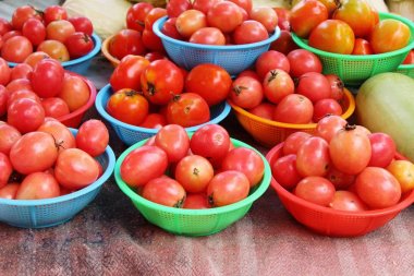 Sokak gıda yemek için taze domates