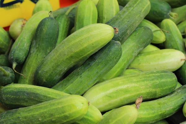 Fresh cucumbers for cooking in the market — Stock Photo, Image