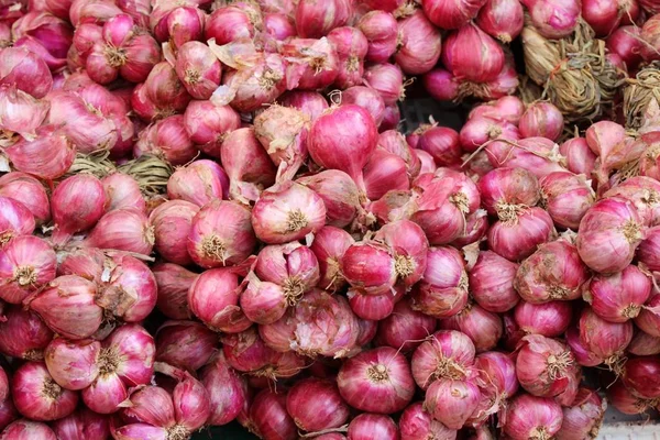 Chalota - la cebolla asiática roja para a la cocción — Foto de Stock
