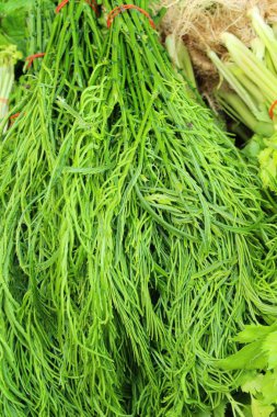 Akasya pennata belgili tanımlık çarşı içinde yemek pişirmek için